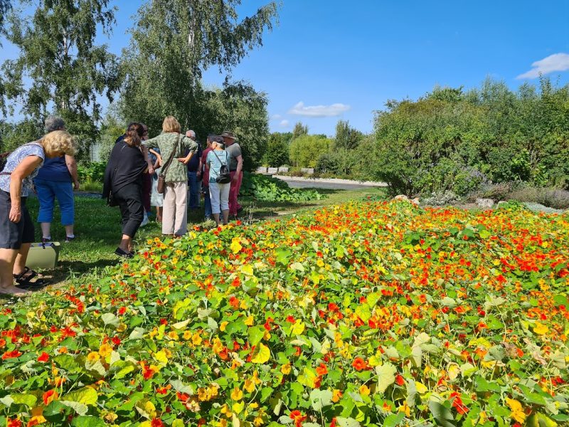Åbergs3 2024