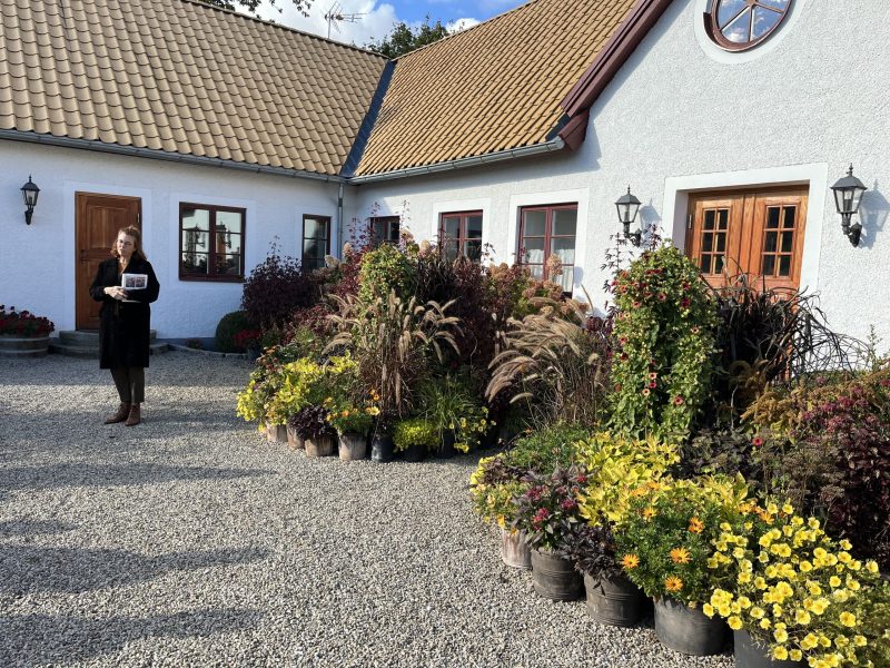 Länsmansgården3