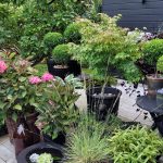 MyFly garden