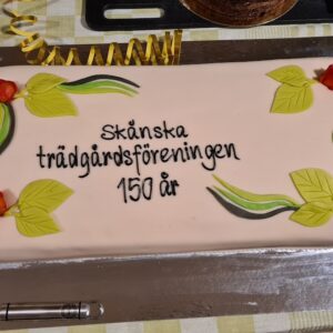 Tårtan